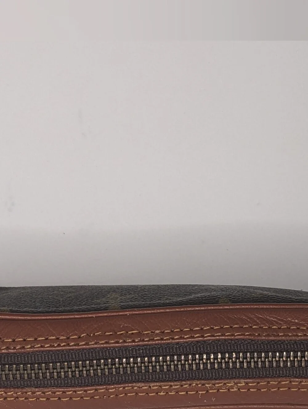 Louis Vuitton authentic louis